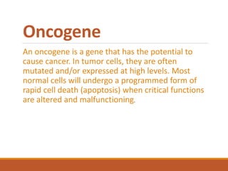 Oncogene
An oncogene is a gene that has the potential to
cause cancer. In tumor cells, they are often
mutated and/or expressed at high levels. Most
normal cells will undergo a programmed form of
rapid cell death (apoptosis) when critical functions
are altered and malfunctioning.
 