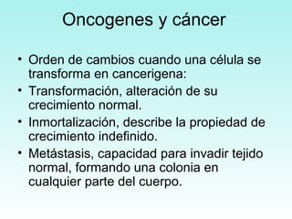 Oncogenes y cáncer
• Orden de cambios cuando una célula se
transforma en cancerigena:
• Transformación, alteración de su
crecimiento normal.
• Inmortalización, describe la propiedad de
crecimiento indefinido.
• Metástasis, capacidad para invadir tejido
normal, formando una colonia en
cualquier parte del cuerpo.

 