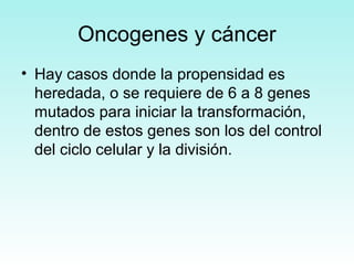 Oncogenes y cáncer
• Hay casos donde la propensidad es
heredada, o se requiere de 6 a 8 genes
mutados para iniciar la transformación,
dentro de estos genes son los del control
del ciclo celular y la división.

 