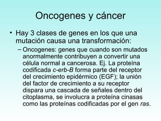 Oncogenes y cáncer
• Hay 3 clases de genes en los que una
mutación causa una transformación:
– Oncogenes: genes que cuando son mutados
anormalmente contribuyen a convertir una
célula normal a cancerosa. Ej. La proteína
codificada c-erb-B forma parte del receptor
del crecimiento epidérmico (EGF); la unión
del factor de crecimiento a su receptor
dispara una cascada de señales dentro del
citoplasma, se involucra a proteína cinasas
como las proteínas codificadas por el gen ras.

 