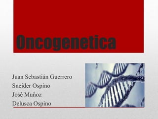 Oncogenetica
Juan Sebastián Guerrero
Sneider Ospino
José Muñoz
Delusca Ospino
 