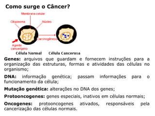 Como surge o Câncer?
Genes: arquivos que guardam e fornecem instruções para a
organização das estruturas, formas e atividades das células no
organismo;
DNA: informação genética; passam informações para o
funcionamento da célula;
Mutação genética: alterações no DNA dos genes;
Protooncogenes: genes especiais, inativos em células normais;
Oncogenes: protooncogenes ativados, responsáveis pela
cancerização das células normais.
 