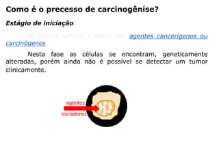 Como é o precesso de carcinogênise?
As células sofrem o efeito dos agentes cancerígenos ou
carcinógenos.
Nesta fase as células se encontram, geneticamente
alteradas, porém ainda não é possível se detectar um tumor
clinicamente.
Estágio de iniciação
 