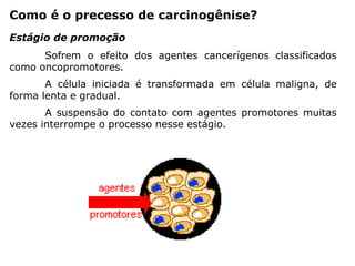Como é o precesso de carcinogênise?
Sofrem o efeito dos agentes cancerígenos classificados
como oncopromotores.
A célula iniciada é transformada em célula maligna, de
forma lenta e gradual.
A suspensão do contato com agentes promotores muitas
vezes interrompe o processo nesse estágio.
Estágio de promoção
 