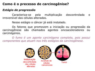 Como é o precesso de carcinogênise?
Caracteriza-se pela multiplicação descontrolada e
irreversível das células alteradas.
Nesse estágio o câncer já está instalado.
Os fatores que promovem a iniciação ou progressão da
carcinogênese são chamados agentes oncoaceleradores ou
carcinógenos.
O fumo é um agente carcinógeno completo, pois possui
componentes que atuam nos três estágios da carcinogênese.
Estágio de progressão
 