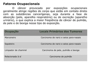 Fatores Ocupacionais
O câncer provocado por exposições ocupacionais
geralmente atinge regiões do corpo que estão em contato direto
com as substâncias cancerígenas, seja durante a fase de
absorção (pele, aparelho respiratório) ou de excreção (aparelho
urinário), o que explica a maior freqüência de câncer de pulmão,
de pele e de bexiga nesse tipo de exposição.
Ocupação Locais Primários dos Tumores
Marceneiro Carcinoma de nariz e seios para-nasais
Sapateiro Carcinoma de nariz e seios para-nasais
Limpador de chaminé Carcinoma de pele, pulmão e bexiga
Relacionada à sí Carcinoma de pulmão
 
