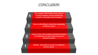 Globally , almost 20% of cancers are related to
infection agents
Several viruses with oncogenic potential stimulates
cell proliferation & cause tumors & cancer in
animals & humans
They act with different mechanisms depending
on different factors
The oncogenic DNA & RNA viruses that are
carrying oncogenes encode transforming
proteins to stimulate tumor formation
CONCLUSION
 