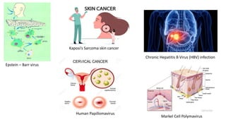 Epstein – Barr virus
Kaposi’s Sarcoma skin cancer
Chronic Hepatitis B Virus (HBV) infection
Human Papillomavirus
Markel Cell Polymavirus
 
