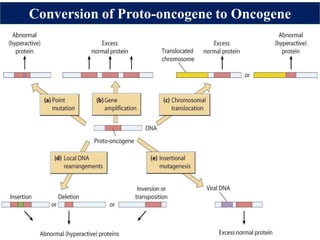 oncogenic-virus-host-cell-interaction-pdf