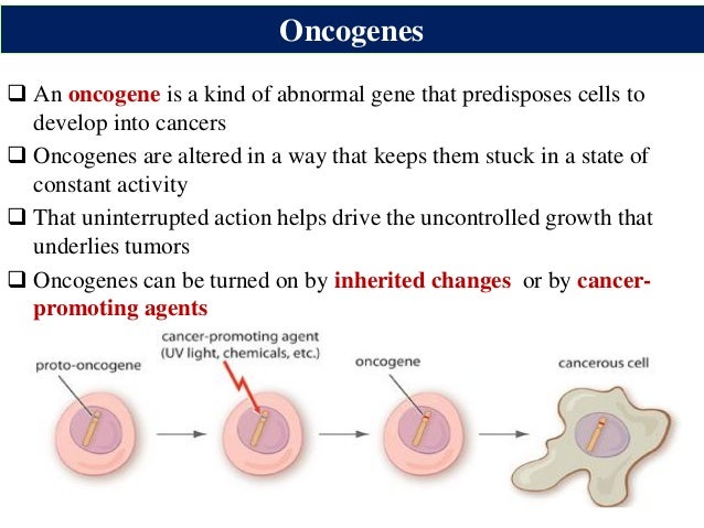 Oncogenic virushost cell interaction