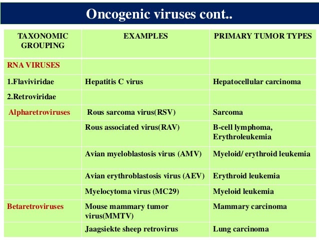 Oncogenic virus-host cell interaction