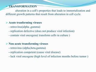  TRANSFORMATION
alteration in a cell’s properties that leads to immortalization and
different growth patterns that result from alteration in cell cycle.
 Acute tranforming viruses
- retrovirus(alpha ,gamma)
- replication defective (does not produce viral infection)
- contain viral oncogene( transform cells in culture )
 Non acute transforming viruses
- retrovirus (alpha,beta,gamma)
- replication competent (cause viral disease)
- lack viral oncogene (high level of infection months before tumor )
 