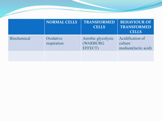 NORMAL CELLS TRANSFORMED
CELLS
BEHAVIOUR OF
TRANSFORMED
CELLS
Biochemical Oxidative
respiration
Aerobic glycolysis
(WARBURG
EFFECT)
Acidification of
culture
medium(lactic acid)
 