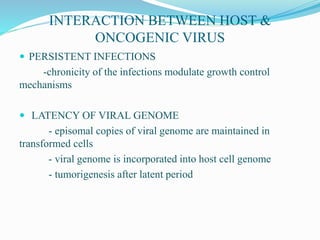 INTERACTION BETWEEN HOST &
ONCOGENIC VIRUS
 PERSISTENT INFECTIONS
-chronicity of the infections modulate growth control
mechanisms
 LATENCY OF VIRAL GENOME
- episomal copies of viral genome are maintained in
transformed cells
- viral genome is incorporated into host cell genome
- tumorigenesis after latent period
 