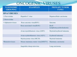 ONCOGENIC VIRUSES
TAXONOMIC
GROUPING
EXAMPLES PRIMARY TUMOR
TYPES
RNA VIRUSES
1.Flaviviridae Hepatitis C virus Hepatocellular carcinoma
2.Retroviridae
• Alpharetroviruses Rous sarcoma virus(RSV) Sarcoma
Rous associated virus(RAV) Bcell
lymphoma,erythroleukemia
Avian myeloblastosis virus (AMV) Myeloid/erythroid leukemia
Avian erythroblastosis virus (AEV) Erythroid leukemia
Myelocytoma virus (MC29) Myeloid leukemia
•Betaretroviruses Mouse mammary tumor virus(MMTV) Mammary carcinoma
Jaagsiekte sheep retrovirus Lung carcinoma
 