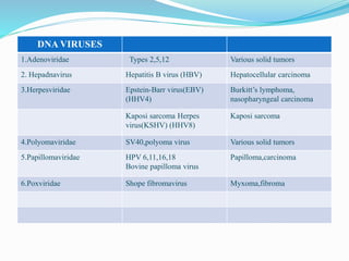 DNA VIRUSES
1.Adenoviridae Types 2,5,12 Various solid tumors
2. Hepadnavirus Hepatitis B virus (HBV) Hepatocellular carcinoma
3.Herpesviridae Epstein-Barr virus(EBV)
(HHV4)
Burkitt’s lymphoma,
nasopharyngeal carcinoma
Kaposi sarcoma Herpes
virus(KSHV) (HHV8)
Kaposi sarcoma
4.Polyomaviridae SV40,polyoma virus Various solid tumors
5.Papillomaviridae HPV 6,11,16,18
Bovine papilloma virus
Papilloma,carcinoma
6.Poxviridae Shope fibromavirus Myxoma,fibroma
 