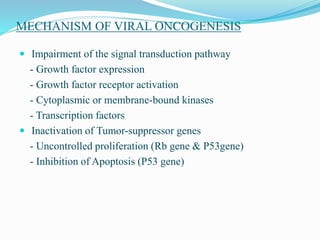 MECHANISM OF VIRAL ONCOGENESIS
 Impairment of the signal transduction pathway
- Growth factor expression
- Growth factor receptor activation
- Cytoplasmic or membrane-bound kinases
- Transcription factors
 Inactivation of Tumor-suppressor genes
- Uncontrolled proliferation (Rb gene & P53gene)
- Inhibition of Apoptosis (P53 gene)
 