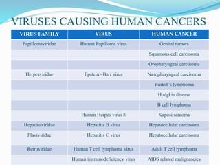 VIRUSES CAUSING HUMAN CANCERS
VIRUS FAMILY VIRUS HUMAN CANCER
Papillomaviridae Human Papilloma virus Genital tumors
Squamous cell carcinoma
Oropharyngeal carcinoma
Herpesviridae Epstein –Barr virus Nasopharyngeal carcinoma
Burkitt’s lymphoma
Hodgkin disease
B cell lymphoma
Human Herpes virus 8 Kaposi sarcoma
Hepadnaviridae Hepatitis B virus Hepatocellular carcinoma
Flaviviridae Hepatitis C virus Hepatocellular carcinoma
Retroviridae Human T cell lymphoma virus Adult T cell lymphoma
Human immunodeficiency virus AIDS related malignancies
 