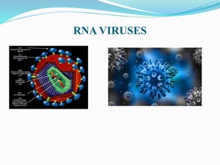 RNA VIRUSES
 