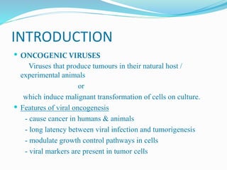 INTRODUCTION
 ONCOGENIC VIRUSES
Viruses that produce tumours in their natural host /
experimental animals
or
which induce malignant transformation of cells on culture.
 Features of viral oncogenesis
- cause cancer in humans & animals
- long latency between viral infection and tumorigenesis
- modulate growth control pathways in cells
- viral markers are present in tumor cells
 