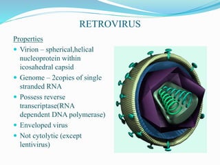 RETROVIRUS
Properties
 Virion – spherical,helical
nucleoprotein within
icosahedral capsid
 Genome – 2copies of single
stranded RNA
 Possess reverse
transcriptase(RNA
dependent DNA polymerase)
 Enveloped virus
 Not cytolytic (except
lentivirus)
 