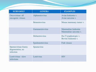 SUBFAMILY GENERA EXAMPLES
Oncovirinae- all
oncogenic viruses
Alpharetrovirus Avian leukemia v.
Avian sarcoma v.
Betaretrovirus Mouse mammary tumor v.
Gammaretrovirus Mammalian leukemia
Mammalian sarcoma v.
Deltaretrovirus Hu.T lymphotropic v.
Bovine leukemia v.
Epsilonretrovirus Fish viruses
Spumavirinae-foamy
degeneration, no
infection
Spumavirus
Lentivirinae –slow
infections
Lentivirus HIV
 