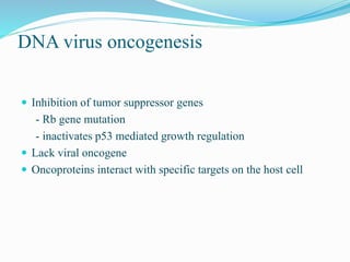DNA virus oncogenesis
 Inhibition of tumor suppressor genes
- Rb gene mutation
- inactivates p53 mediated growth regulation
 Lack viral oncogene
 Oncoproteins interact with specific targets on the host cell
 