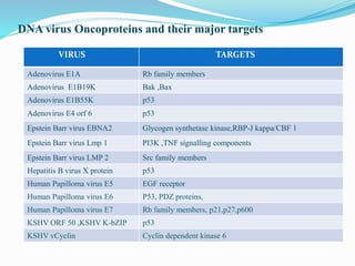 DNA virus Oncoproteins and their major targets
VIRUS TARGETS
Adenovirus E1A Rb family members
Adenovirus E1B19K Bak ,Bax
Adenovirus E1B55K p53
Adenovirus E4 orf 6 p53
Epstein Barr virus EBNA2 Glycogen synthetase kinase,RBP-J kappa/CBF 1
Epstein Barr virus Lmp 1 PI3K ,TNF signalling components
Epstein Barr virus LMP 2 Src family members
Hepatitis B virus X protein p53
Human Papilloma virus E5 EGF receptor
Human Papilloma virus E6 P53, PDZ proteins,
Human Papilloma virus E7 Rb family members, p21,p27,p600
KSHV ORF 50 ,KSHV K-bZIP p53
KSHV vCyclin Cyclin dependent kinase 6
 