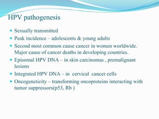 HPV pathogenesis
 Sexually transmitted
 Peak incidence – adolescents & young adults
 Second most common cause cancer in women worldwide.
Major cause of cancer deaths in developing countries.
 Episomal HPV DNA – in skin carcinomas , premalignant
lesions
 Integrated HPV DNA – in cervical cancer cells
 Oncogeneticity – transforming oncoproteins interacting with
tumor suppressors(p53, Rb )
 