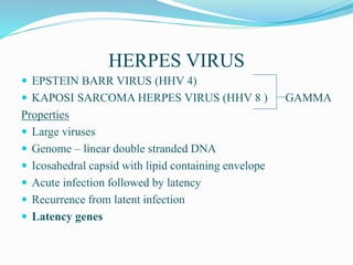 HERPES VIRUS
 EPSTEIN BARR VIRUS (HHV 4)
 KAPOSI SARCOMA HERPES VIRUS (HHV 8 ) GAMMA
Properties
 Large viruses
 Genome – linear double stranded DNA
 Icosahedral capsid with lipid containing envelope
 Acute infection followed by latency
 Recurrence from latent infection
 Latency genes
 