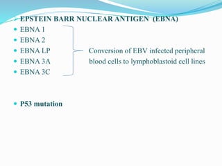  EPSTEIN BARR NUCLEAR ANTIGEN (EBNA)
 EBNA 1
 EBNA 2
 EBNA LP Conversion of EBV infected peripheral
 EBNA 3A blood cells to lymphoblastoid cell lines
 EBNA 3C
 P53 mutation
 