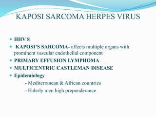 KAPOSI SARCOMA HERPES VIRUS
 HHV 8
 KAPOSI’S SARCOMA- affects multiple organs with
prominent vascular endothelial component
 PRIMARY EFFUSION LYMPHOMA
 MULTICENTRIC CASTLEMAN DISEASE
 Epidemiology
- Mediterranean & African countries
- Elderly men high preponderance
 