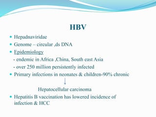 HBV
 Hepadnaviridae
 Genome – circular ,ds DNA
 Epidemiology
- endemic in Africa ,China, South east Asia
- over 250 million persistently infected
 Primary infections in neonates & children-90% chronic
Hepatocellular carcinoma
 Hepatitis B vaccination has lowered incidence of
infection & HCC
 