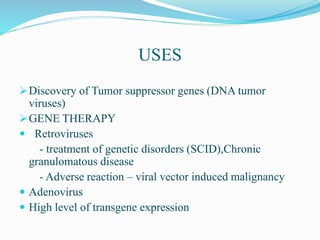 USES
Discovery of Tumor suppressor genes (DNA tumor
viruses)
GENE THERAPY
 Retroviruses
- treatment of genetic disorders (SCID),Chronic
granulomatous disease
- Adverse reaction – viral vector induced malignancy
 Adenovirus
 High level of transgene expression
 