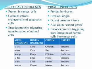 CELLULAR ONCOGENES
 Present in cancer cells
 Contains introns
characteristic of eukaryotic
cells
 Encodes proteins triggering
transformation of normal
cells
VIRAL ONCOGENES
 Present in viruses
 Host cell origin
 Do not possesss introns
 Also called ‘cancer genes’
 Encodes proteins triggering
transformation of normal
cells into cancer cells
VIRAL
ONCOGENE
HUMAN
ONCOGENE
ORIGIN NATURE
V-src C-src Chicken Sarcoma
V-ras C-ras Rat Sarcoma
V-myc C-myc Chicken Leukemia
V-fes C-fes Feline Sarcoma
V-sis C-sis Simian Sarcoma
V-mos C-mos Mouse Sarcoma
 