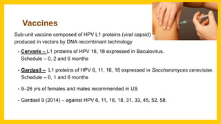Vaccines
Sub-unit vaccine composed of HPV L1 proteins (viral capsid)
produced in vectors by DNA recombinant technology
• Cervarix – L1 proteins of HPV 16, 18 expressed in Baculovirus.
Schedule – 0, 2 and 6 months
• Gardasil – L1 proteins of HPV 6, 11, 16, 18 expressed in Saccharomyces cerevisiae.
Schedule – 0, 1 and 6 months
• 9–26 yrs of females and males recommended in US
• Gardasil 9 (2014) – against HPV 6, 11, 16, 18, 31, 33, 45, 52, 58.
 