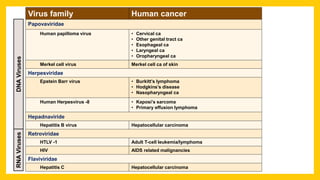 Virus family Human cancer
Papovaviridae
Human papilloma virus • Cervical ca
• Other genital tract ca
• Esophageal ca
• Laryngeal ca
• Oropharyngeal ca
Merkel cell virus Merkel cell ca of skin
Herpesviridae
Epstein Barr virus • Burkitt’s lymphoma
• Hodgkins’s disease
• Nasopharyngeal ca
Human Herpesvirus -8 • Kaposi’s sarcoma
• Primary effusion lymphoma
Hepadnaviride
Hepatitis B virus Hepatocellular carcinoma
Retroviridae
HTLV -1 Adult T-cell leukemia/lymphoma
HIV AIDS related malignancies
Flaviviridae
Hepatitis C Hepatocellular carcinoma
DNAVirusesRNAViruses
 