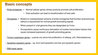 Basic concepts
• Proto-oncogenes –
• Oncogenes –
• Tumour suppressor genes – supress any abnormal proliferation of cells(eg. p53, Retinoblastoma)
• Apoptosis regulatory genes – eg. bcl-2 (anti-apoptotic) and bax (pro-apoptotic genes)
• DNA repair genes
• Normal cellular genes whose products promote cell proliferation.
• Over-activation can lead to transformation of host cells
• Mutant or overexpressed versions of proto-oncogenes that function autonomously
without a requirement for normal growth-promoting signals
• When present in viral genome they are designated as V-onc
• Oncoproteins cause continuous stimulation of nuclear transcription factors that
cause increased expression of growth-promoting genes.
 