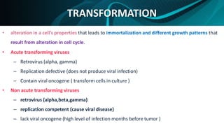 TRANSFORMATION
• alteration in a cell’s properties that leads to immortalization and different growth patterns that
result from alteration in cell cycle.
• Acute transforming viruses
– Retrovirus (alpha, gamma)
– Replication defective (does not produce viral infection)
– Contain viral oncogene ( transform cells in culture )
• Non acute transforming viruses
– retrovirus (alpha,beta,gamma)
– replication competent (cause viral disease)
– lack viral oncogene (high level of infection months before tumor )
 