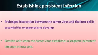 Establishing persistent infection
• Prolonged interaction between the tumor virus and the host cell is
essential for oncogenesis to develop
• Possible only when the tumor virus establishes a longterm persistent
infection in host cells.
 