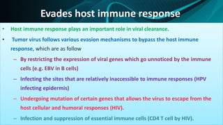 Evades host immune response
• Host immune response plays an important role in viral clearance.
• Tumor virus follows various evasion mechanisms to bypass the host immune
response, which are as follow
– By restricting the expression of viral genes which go unnoticed by the immune
cells (e.g. EBV in B cells)
– Infecting the sites that are relatively inaccessible to immune responses (HPV
infecting epidermis)
– Undergoing mutation of certain genes that allows the virus to escape from the
host cellular and humoral responses (HIV).
– Infection and suppression of essential immune cells (CD4 T cell by HIV).
 