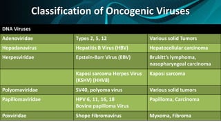 DNA Viruses
Adenoviridae Types 2, 5, 12 Various solid Tumors
Hepadanavirus Hepatitis B Virus (HBV) Hepatocellular carcinoma
Herpesviridae Epstein-Barr Virus (EBV) Brukitt’s lymphoma,
nasopharyngeal carcinoma
Kaposi sarcoma Herpes Virus
(KSHV) (HHV8)
Kaposi sarcoma
Polyomaviridae SV40, polyoma virus Various solid tumors
Papillomaviridae HPV 6, 11, 16, 18
Bovine papilloma Virus
Papilloma, Carcinoma
Poxviridae Shope Fibromavirus Myxoma, Fibroma
Classification of Oncogenic Viruses
 