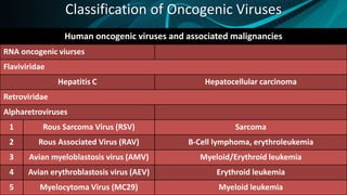 Classification of Oncogenic Viruses
Human oncogenic viruses and associated malignancies
RNA oncogenic viurses
Flaviviridae
Hepatitis C Hepatocellular carcinoma
Retroviridae
Alpharetroviruses
1 Rous Sarcoma Virus (RSV) Sarcoma
2 Rous Associated Virus (RAV) B-Cell lymphoma, erythroleukemia
3 Avian myeloblastosis virus (AMV) Myeloid/Erythroid leukemia
4 Avian erythroblastosis virus (AEV) Erythroid leukemia
5 Myelocytoma Virus (MC29) Myeloid leukemia
 