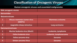 Classification of Oncogenic Viruses
Human oncogenic viruses and associated malignancies
RNA oncogenic viurses
Retroviridae
Betaretroviruses
1 Mouse mammary tumor virus
(MMTV)
Mammary crcinoma
2 Jaagsiekte sheep retrovirus Lung carcinoma
Gammaretroviruses
1 Murine leukemia virus (MuLV) Leukemia, Lymphoma
2 Feline leukemia virus Leukemia, lymphosarcoma
3 Feline sarcoma virus Sarcoma
4 Simian sarcoma Virus Sarcoma
 