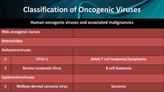 Classification of Oncogenic Viruses
Human oncogenic viruses and associated malignancies
RNA oncogenic viurses
Retroviridae
Deltaretroviruses
1 HTLV-1 Adult T cell leukemia/lymphoma
2 Bovine Leukemia Virus B cell leukemia
Epsilonretroviruses
1 Walleye dermal sarcoma virus Sarcoma
 