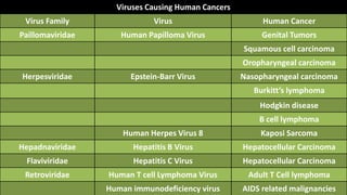 Viruses Causing Human Cancers
Virus Family Virus Human Cancer
Paillomaviridae Human Papilloma Virus Genital Tumors
Squamous cell carcinoma
Oropharyngeal carcinoma
Herpesviridae Epstein-Barr Virus Nasopharyngeal carcinoma
Burkitt’s lymphoma
Hodgkin disease
B cell lymphoma
Human Herpes Virus 8 Kaposi Sarcoma
Hepadnaviridae Hepatitis B Virus Hepatocellular Carcinoma
Flaviviridae Hepatitis C Virus Hepatocellular Carcinoma
Retroviridae Human T cell Lymphoma Virus Adult T Cell lymphoma
Human immunodeficiency virus AIDS related malignancies
 