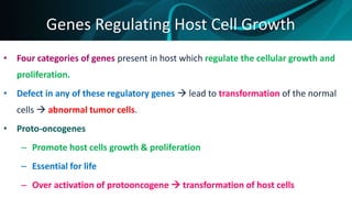 Genes Regulating Host Cell Growth
• Four categories of genes present in host which regulate the cellular growth and
proliferation.
• Defect in any of these regulatory genes  lead to transformation of the normal
cells  abnormal tumor cells.
• Proto-oncogenes
– Promote host cells growth & proliferation
– Essential for life
– Over activation of protooncogene  transformation of host cells
 
