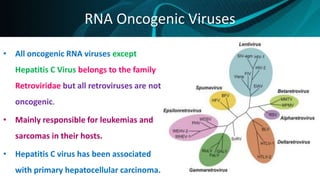 RNA Oncogenic Viruses
• All oncogenic RNA viruses except
Hepatitis C Virus belongs to the family
Retroviridae but all retroviruses are not
oncogenic.
• Mainly responsible for leukemias and
sarcomas in their hosts.
• Hepatitis C virus has been associated
with primary hepatocellular carcinoma.
 