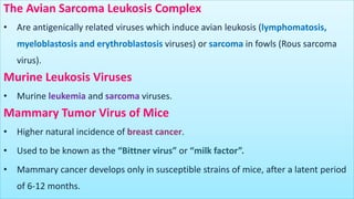 The Avian Sarcoma Leukosis Complex
• Are antigenically related viruses which induce avian leukosis (lymphomatosis,
myeloblastosis and erythroblastosis viruses) or sarcoma in fowls (Rous sarcoma
virus).
Murine Leukosis Viruses
• Murine leukemia and sarcoma viruses.
Mammary Tumor Virus of Mice
• Higher natural incidence of breast cancer.
• Used to be known as the “Bittner virus” or “milk factor”.
• Mammary cancer develops only in susceptible strains of mice, after a latent period
of 6-12 months.
 