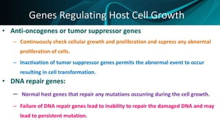 • Anti-oncogenes or tumor suppressor genes
– Continuously check cellular growth and proliferation and supress any abnormal
proliferation of cells.
– Inactivation of tumor suppressor genes permits the abnormal event to occur
resulting in cell transformation.
• DNA repair genes:
– Normal host genes that repair any mutations occurring during the cell growth.
– Failure of DNA repair genes lead to inability to repair the damaged DNA and may
lead to persistent mutation.
Genes Regulating Host Cell Growth
 